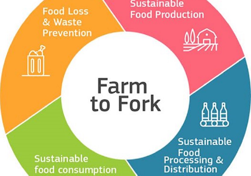 EnNuVi and EU Farm to Fork for a healthy food system - ENVision
