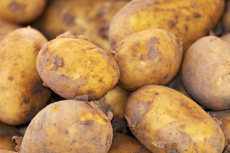 Germany has tested EnNuVi technology on potato