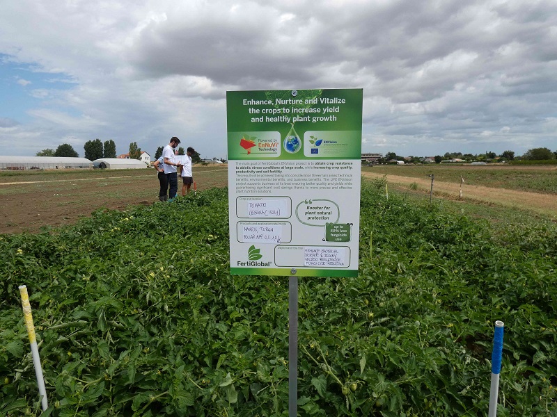 Field trial on tomato in Emilia Romagna – Italy