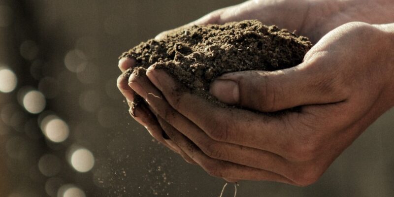 FertiGlobal and the World soil day